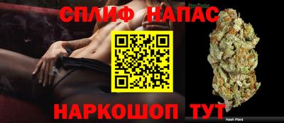 кокс Краснодар