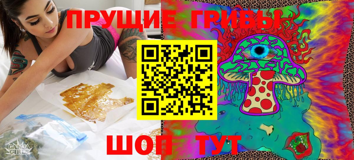 Псилоцибиновые грибы GOLDEN TEACHER Сургут